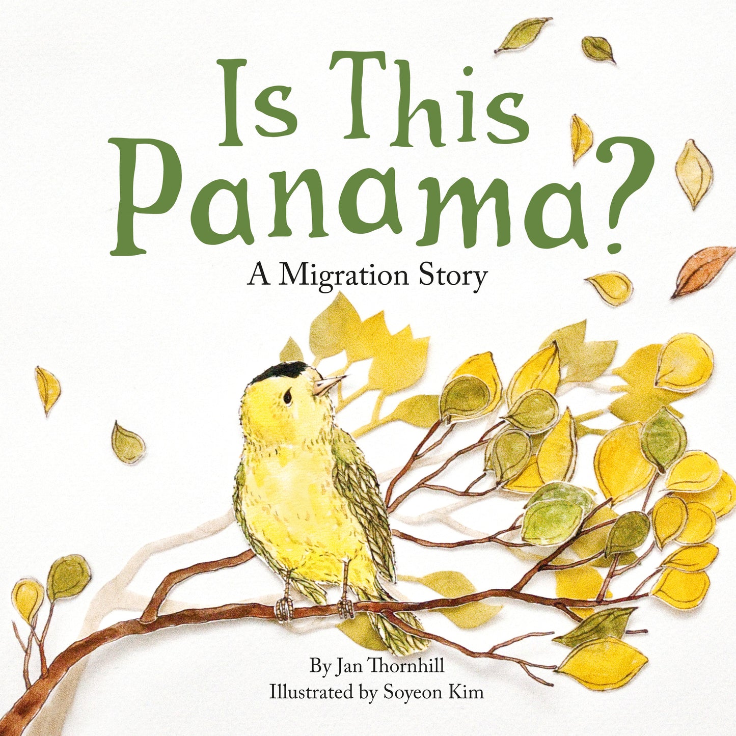 Is This Panama? - owlkids-us