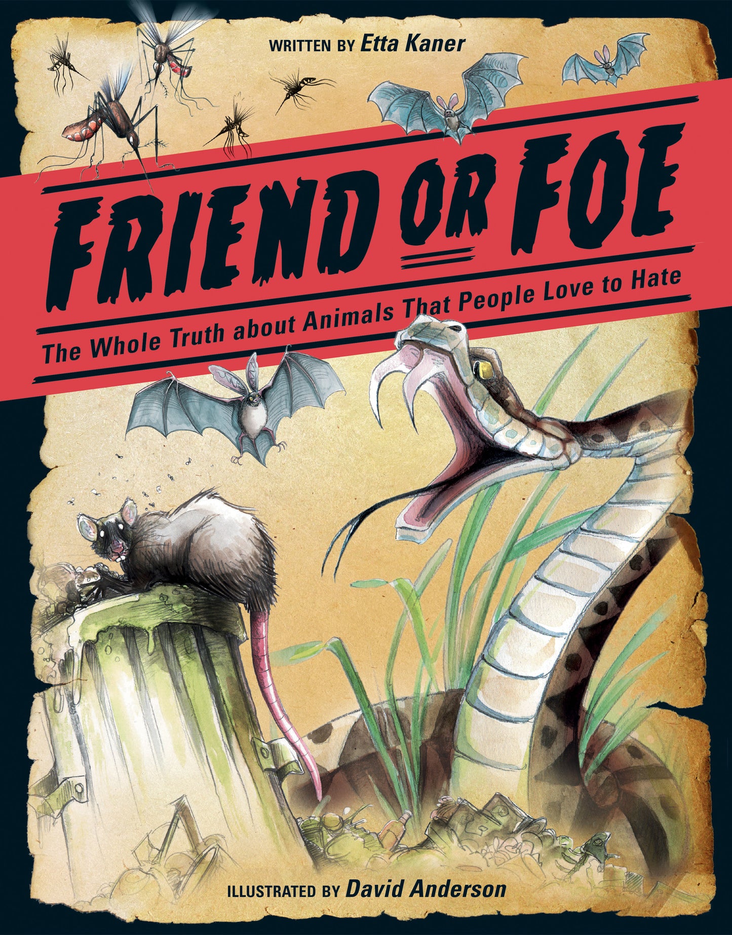 Friend or Foe - owlkids-us