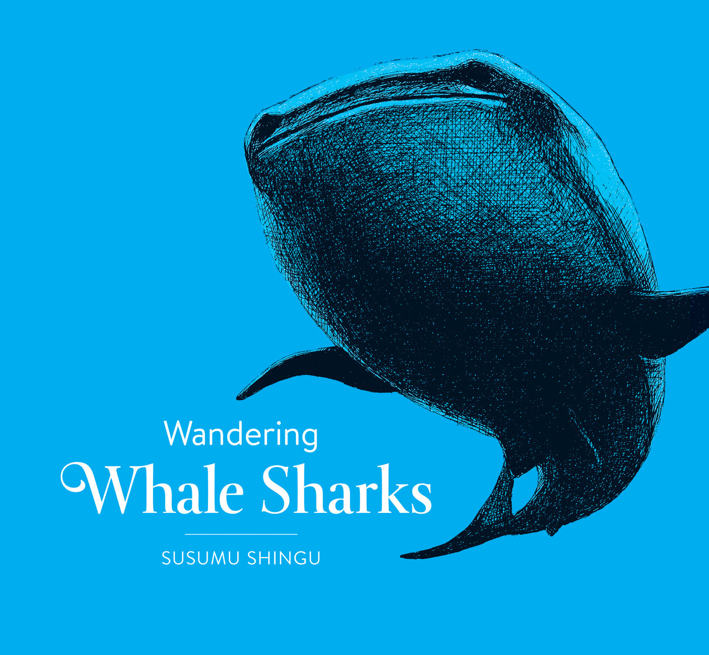 Wandering Whale Sharks - owlkids-us