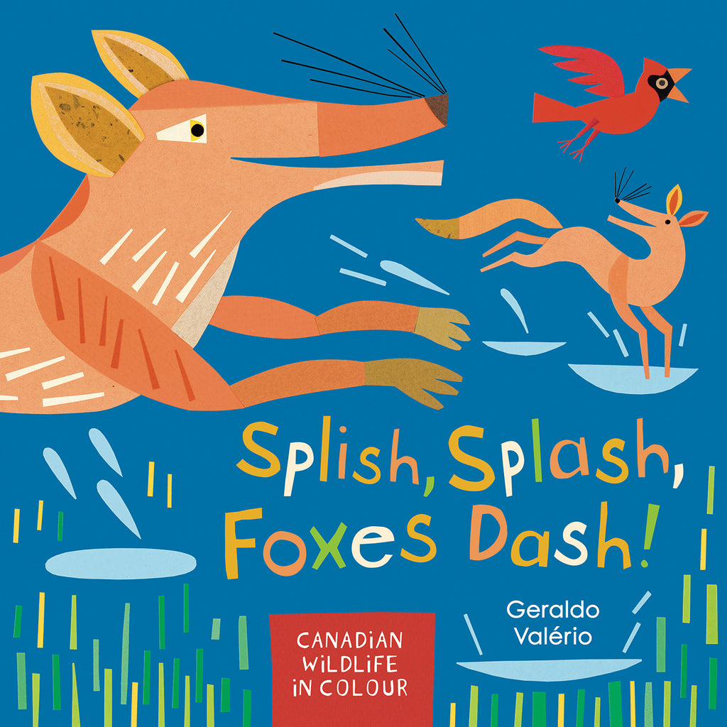 Splish, Splash, Foxes Dash!