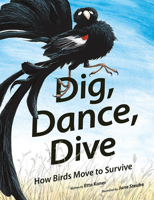 Dig, Dance, Dive