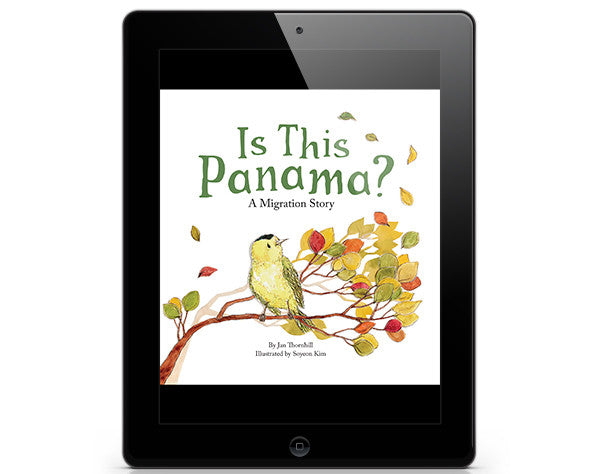 Is This Panama? - ebook