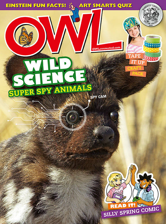 OWL Magazine - March 2021