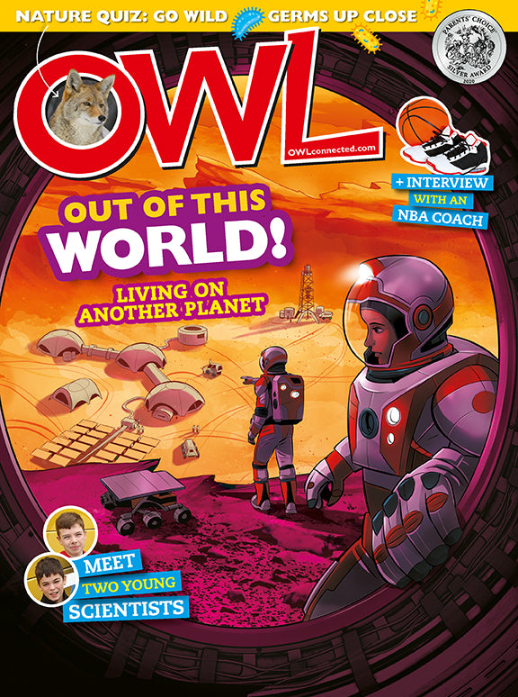 OWL Magazine - November 2020